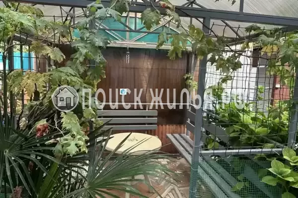 «Лазуриус», Лазаревское