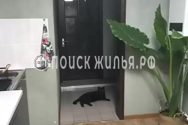 «На Пограничников», Судак «На Пограничников», Судак