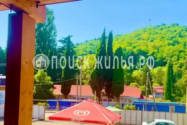 «Mark Inn», Солоники