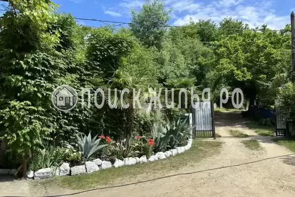 Гостевой дом «Ася и миша», Республика Абхазия, Гагры, Пицунда, , д.улПриморская Гостевой дом «Ася и миша», Республика Абхазия, Гагры, Пицунда, , д.улПриморская