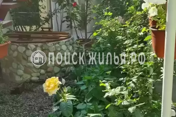 «Марина», Геленджик