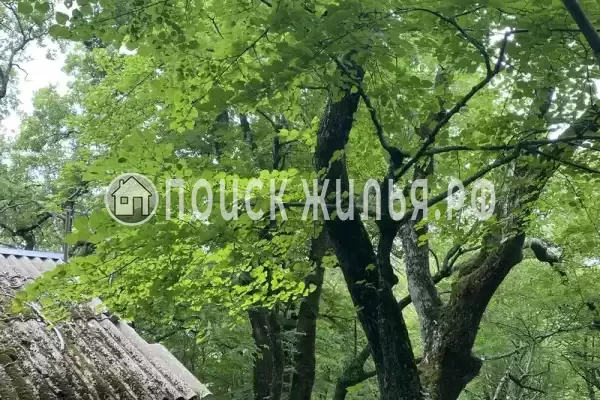 База отдыха «Затерянный рай», Бухта Инал База отдыха «Затерянный рай», Бухта Инал