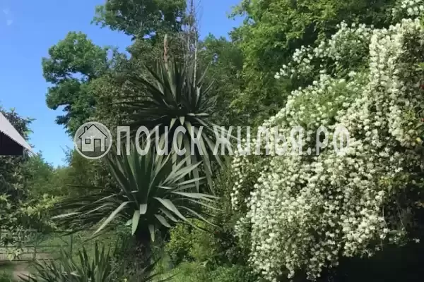 Дом под ключ «Комната под ключ в Лидзаве», Пицунда