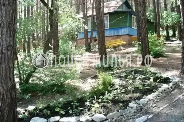 «Джанхот», Джанхот