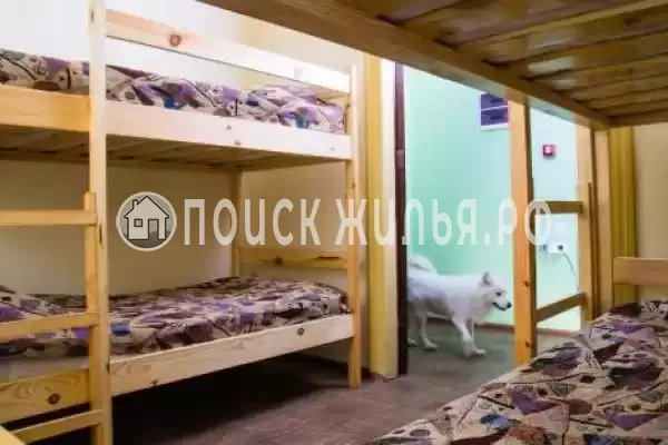 «Белый лебедь», Джемете