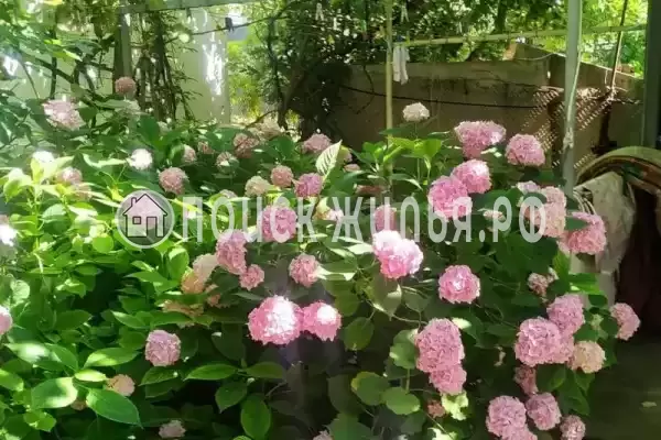 Частный сектор «У Ольги», Небуг