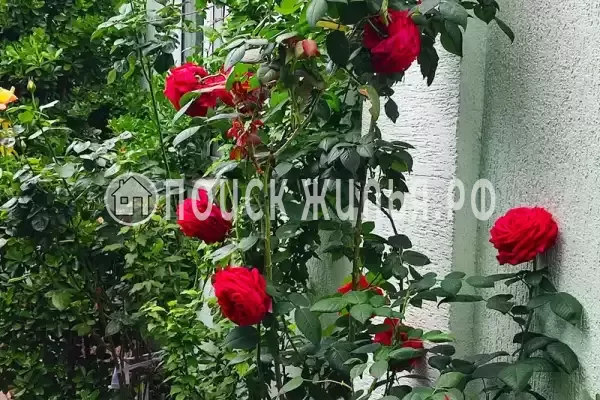 Частный сектор «В центре на Кирова», Геленджик Частный сектор «В центре на Кирова», Геленджик