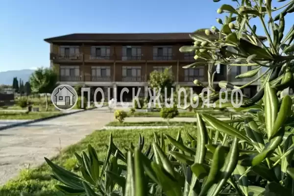 Гостиница "Ohana", Пицунда, ул. , д. Молочныйсовхоз
