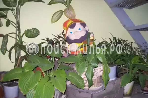 «Лоза», Феодосия «Лоза», Феодосия