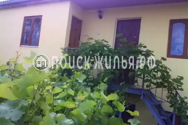 «Лоза», Феодосия «Лоза», Феодосия