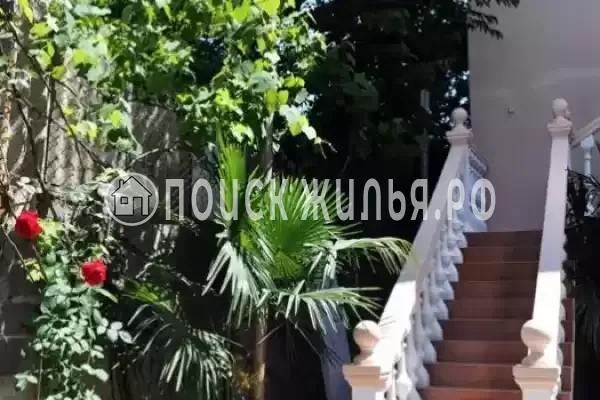 «Роза Лоо», Лоо