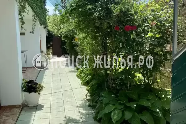 «Эльвира», Саки «Эльвира», Саки