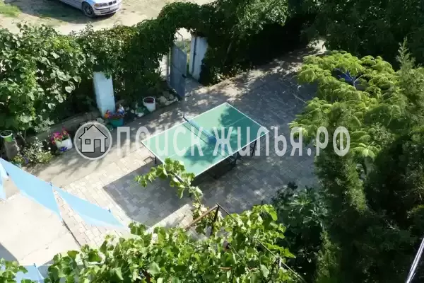 «Море удачи», Саки