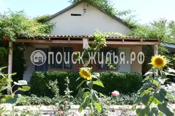 «Море удачи», Саки