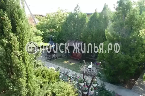 «Море удачи», Саки