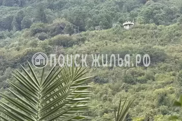 Частный сектор «У Абони», Гагра