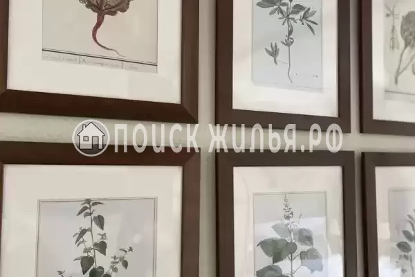 Апартаменты «Botanica Apart Divnomorskoe», Дивноморское Апартаменты «Botanica Apart Divnomorskoe», Дивноморское