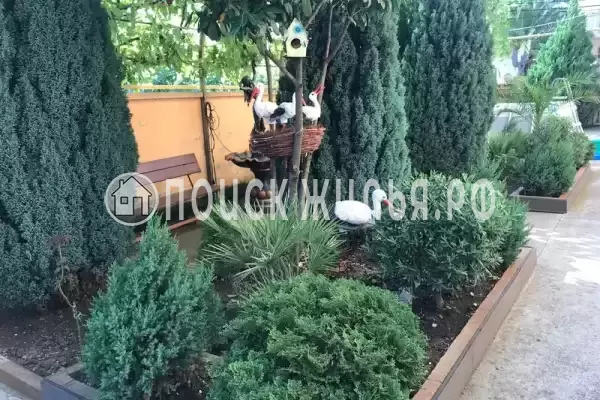 «Do Моря», Адлер