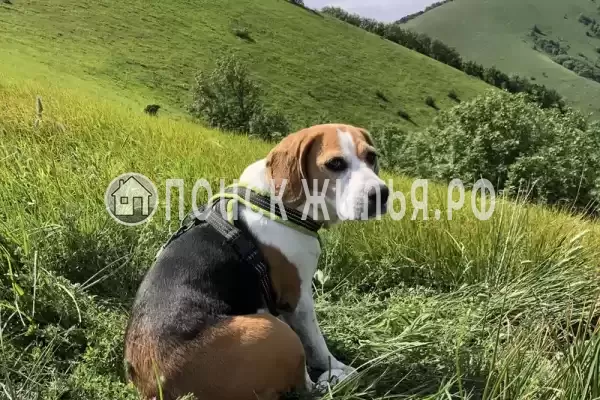 Дом под ключ «МореДом», Кабардинка