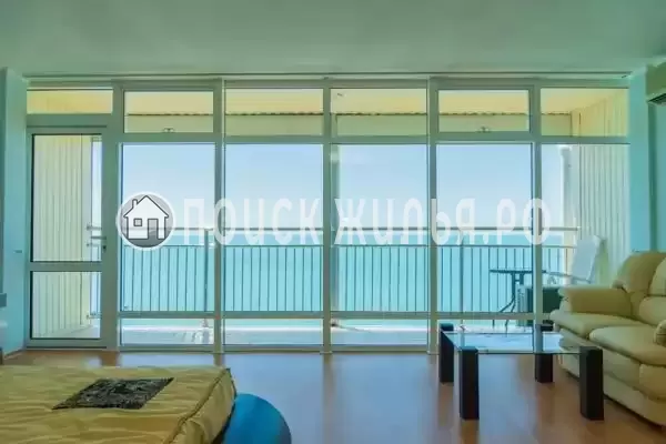 «Дельфин» «Дельфин»