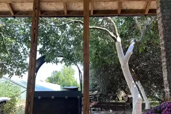 Дом под ключ «Камелия» Дом под ключ «Камелия»