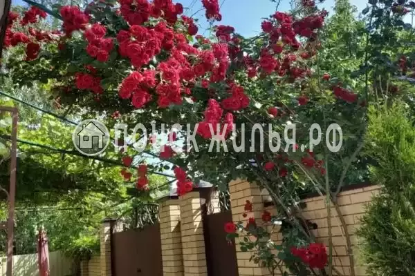 Частный сектор «Апартаменты на Молодежной» Частный сектор «Апартаменты на Молодежной»