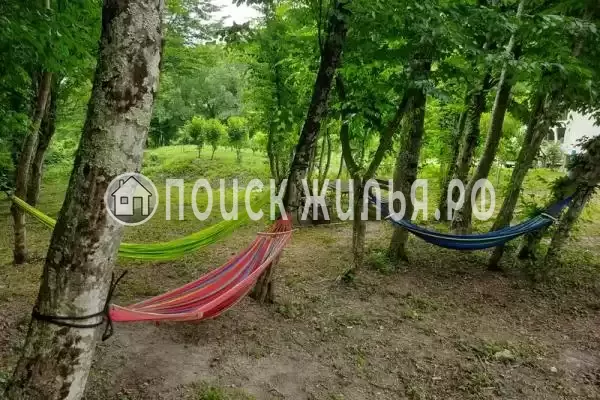 Частный сектор «Домик в лесу у моря»