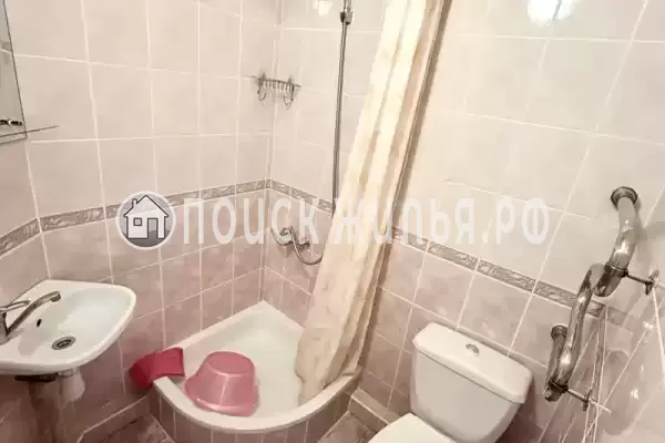 «Ск вива» «Ск вива»