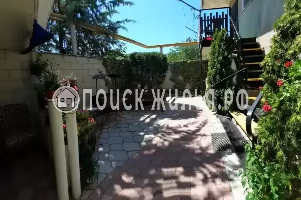 «Паутинка» «Паутинка»