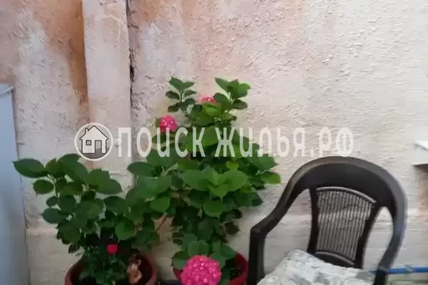 Частный сектор «Студия со своим двориком» Частный сектор «Студия со своим двориком»