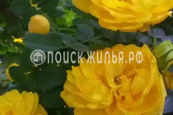 Дом под ключ «На Павлова» Дом под ключ «На Павлова»