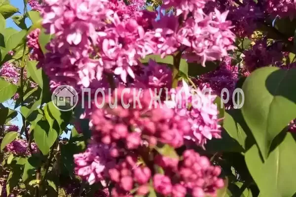 Дом под ключ «На Павлова» Дом под ключ «На Павлова»