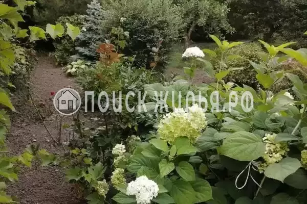 Дом под ключ «До 12 человек» Дом под ключ «До 12 человек»