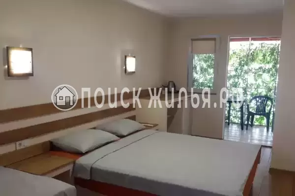 «Кактус» «Кактус»