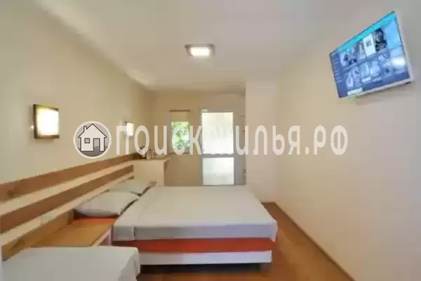 «Кактус» «Кактус»