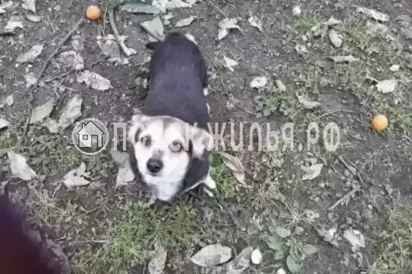 Дом под ключ «Рядом с морем» Дом под ключ «Рядом с морем»