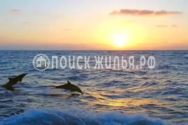 Апартаменты «С видом на море» Апартаменты «С видом на море»