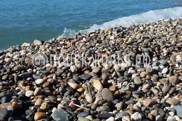 «Черноморская жемчужина» «Черноморская жемчужина»