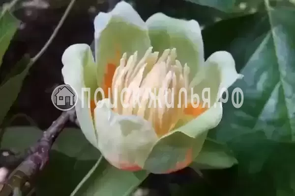 Дом под ключ «Таунхаус Самара» Дом под ключ «Таунхаус Самара»