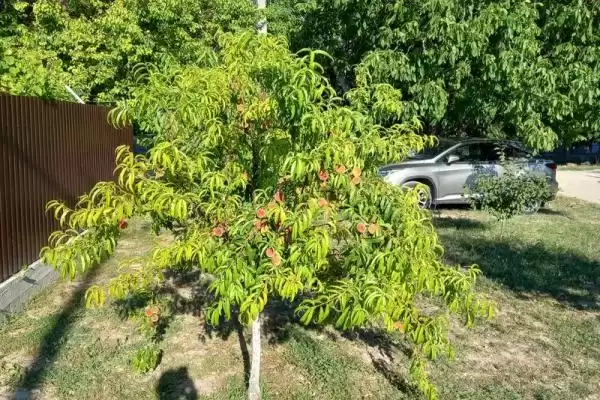 Дом под ключ «С бассейном» Дом под ключ «С бассейном»