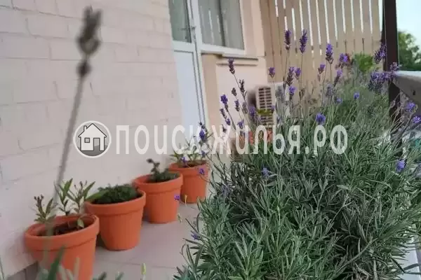 Частный сектор «House Inn»