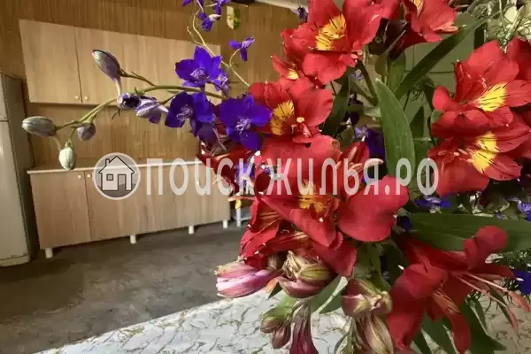 Гостевой дом «Нелли» Гостевой дом «Нелли»