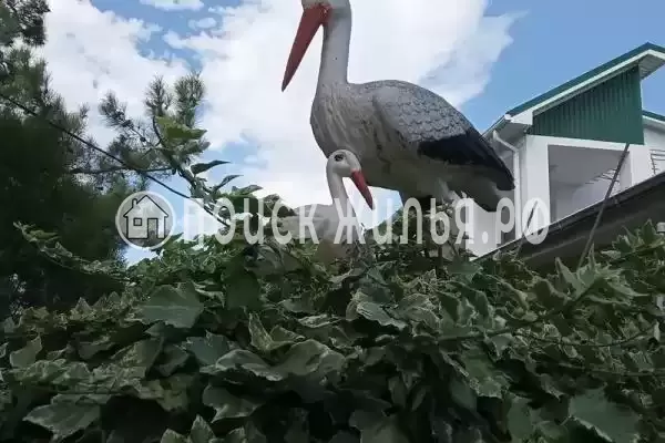 Апартаменты «Анна» Апартаменты «Анна»