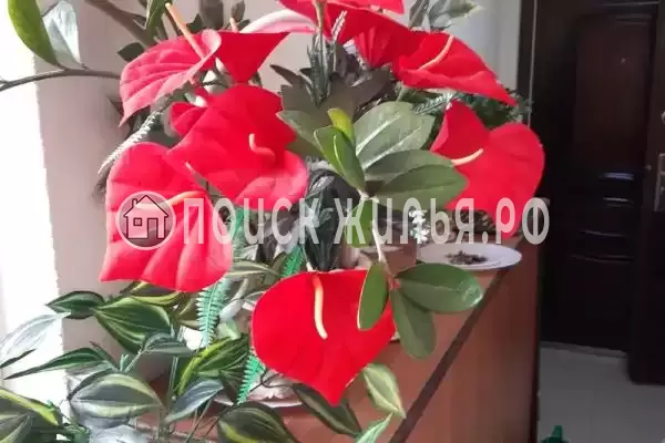 Квартира «Чкалова 11» Квартира «Чкалова 11»