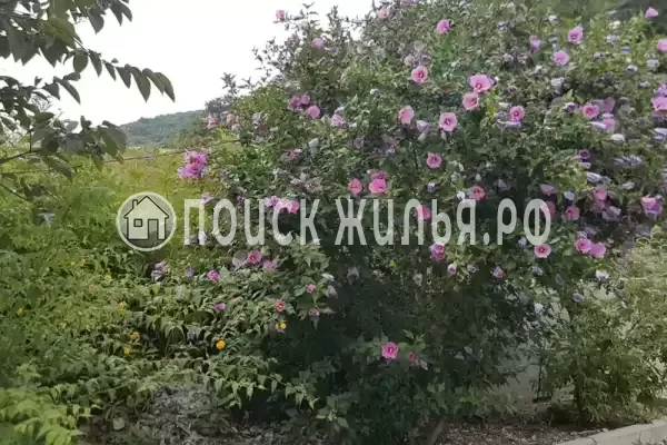 Дом под ключ «Ивушка»