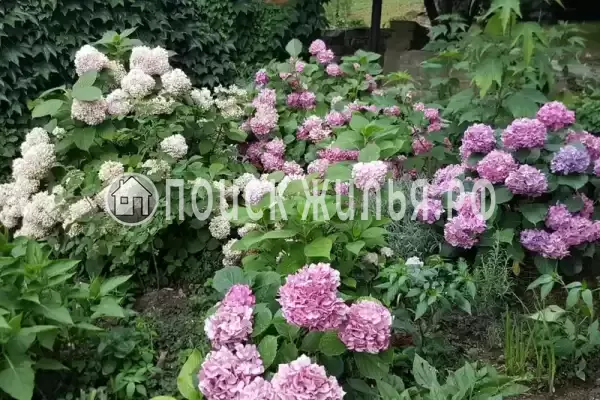 Дом под ключ «Ивушка»