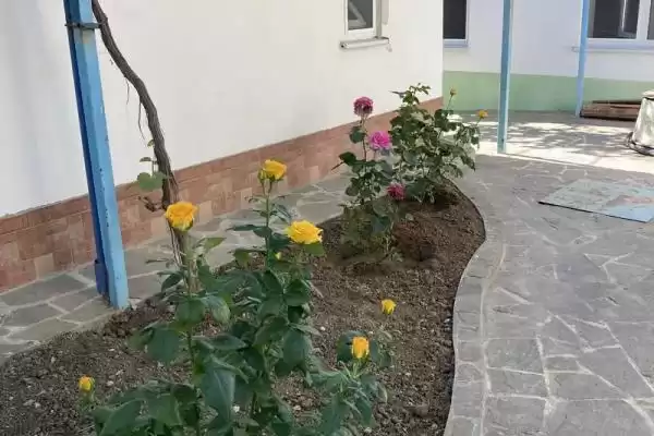 Гостевой дом «Кот и овсянка»