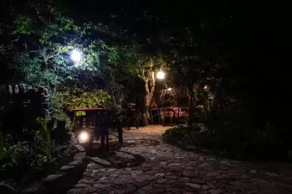 Гостевой дом «Лесная поляна»