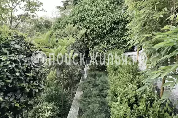 «Агеевъ»