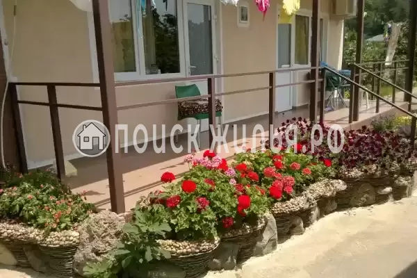«У Светы и Давида»
